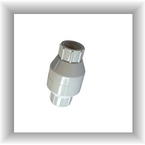 Spring Check Valve 