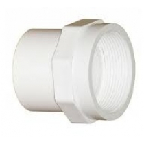 25mm PVC Female Adapter CAT 18          