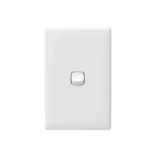 1 GANG SWITCH (STANDARD/SMALL)          